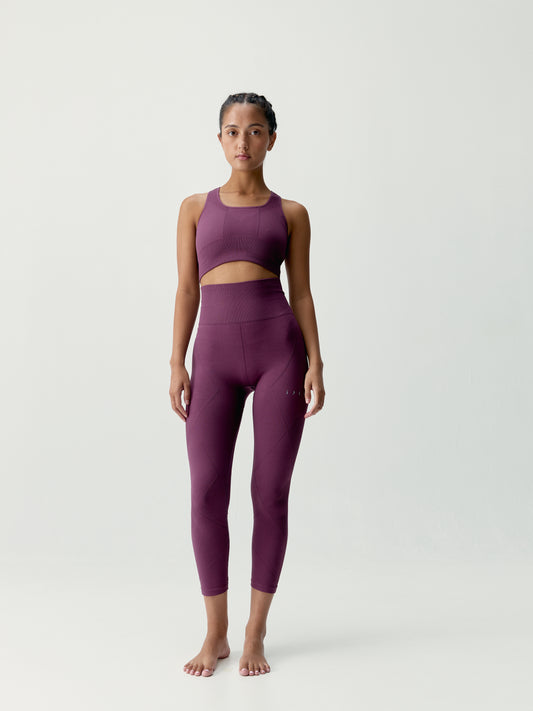 Top Ambra Beet Plant