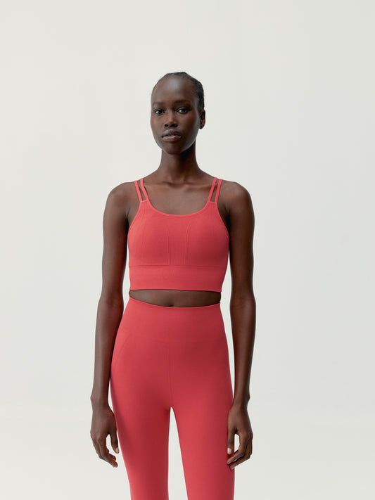 Top Blume Crisantemo