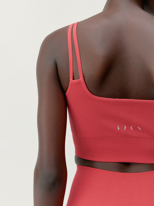 Top Blume Crisantemo