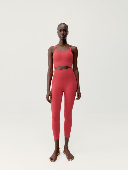 Top Blume Crisantemo