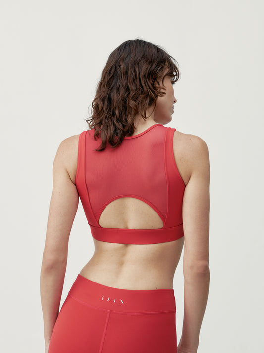 Top Namir Crisantemo