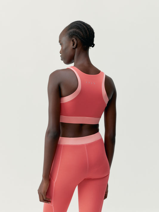 Top Xenia Strawberry Ice / Sunset Coral