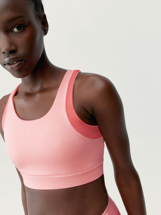 Top Xenia Strawberry Ice / Sunset Coral