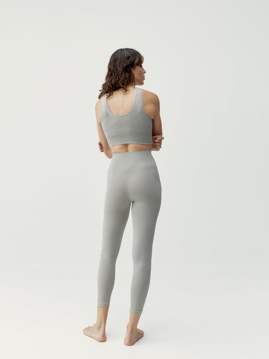 Champignons Alana de haut niveau