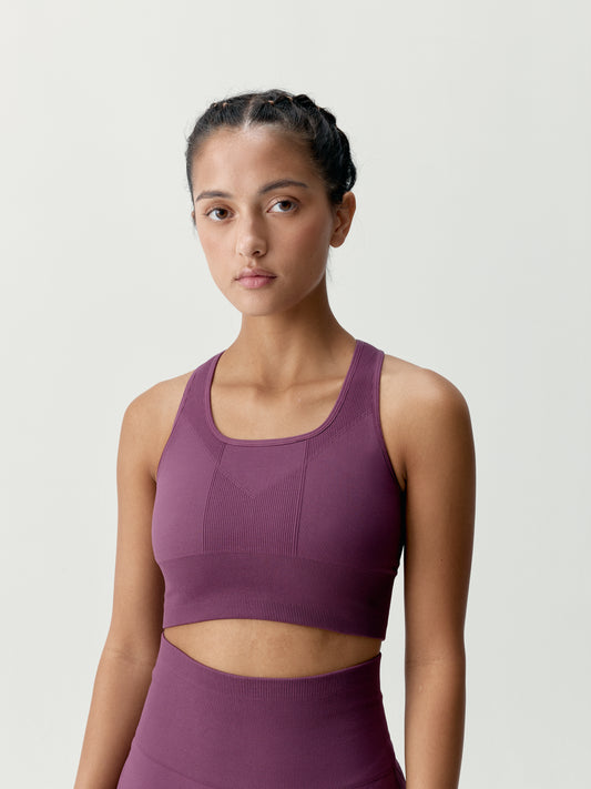 Top Ambra Beet Plant