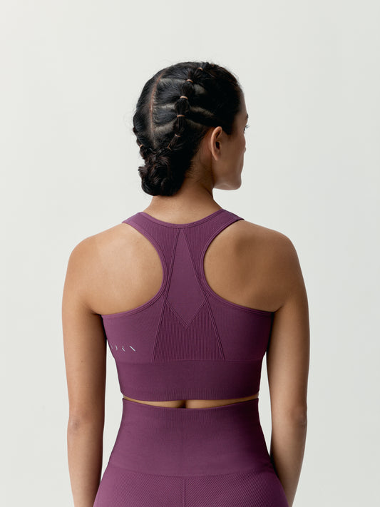 Top Ambra Beet Plant