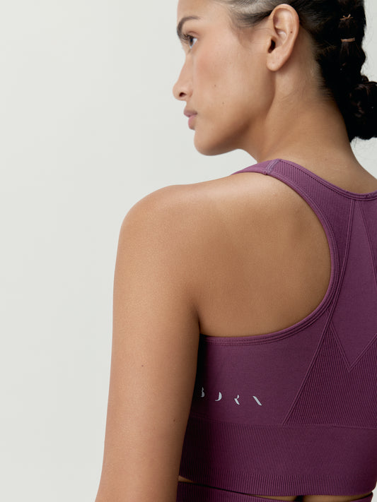 Top Ambra Beet Plant