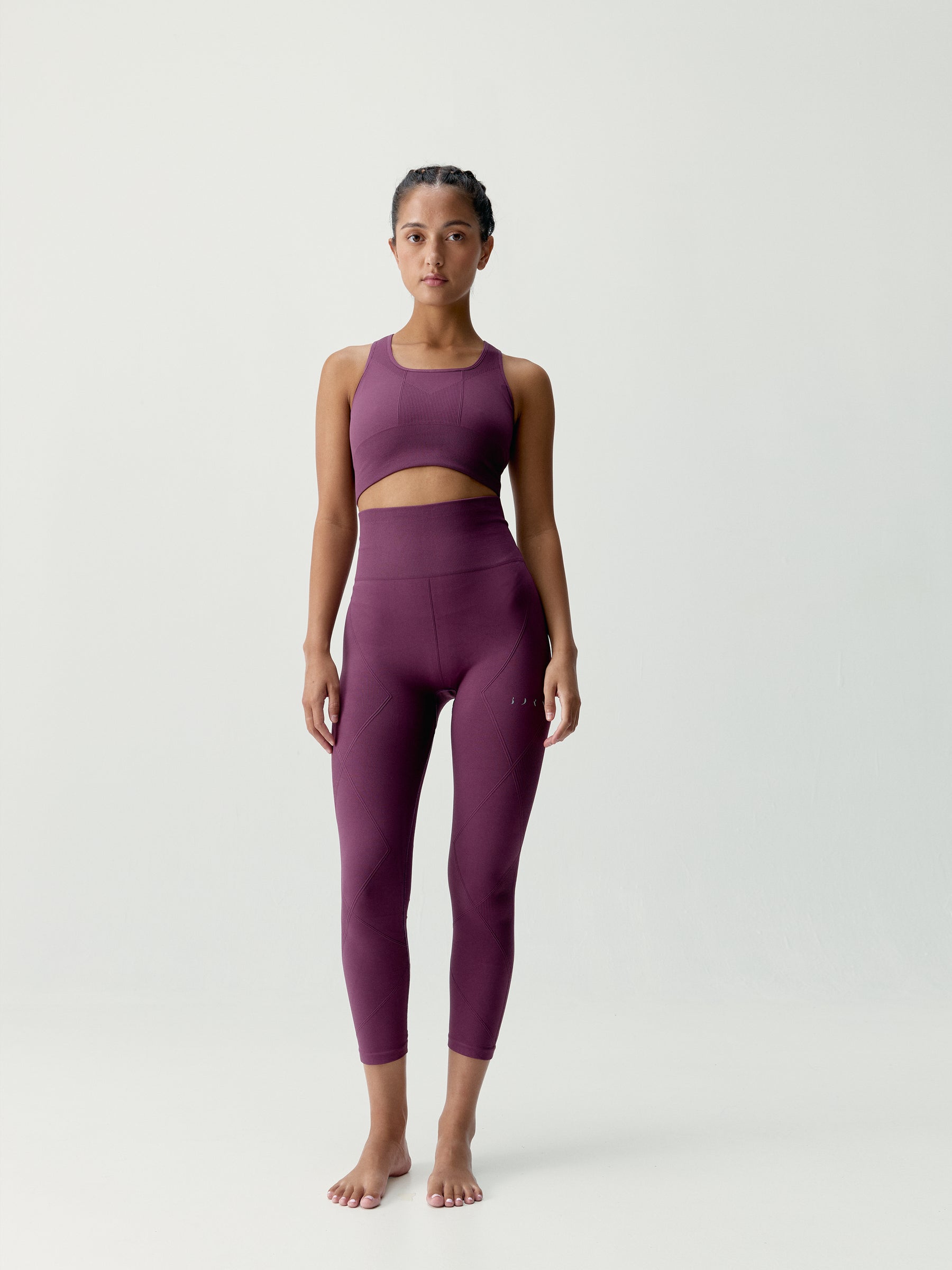 Top Ambra Beet Plant