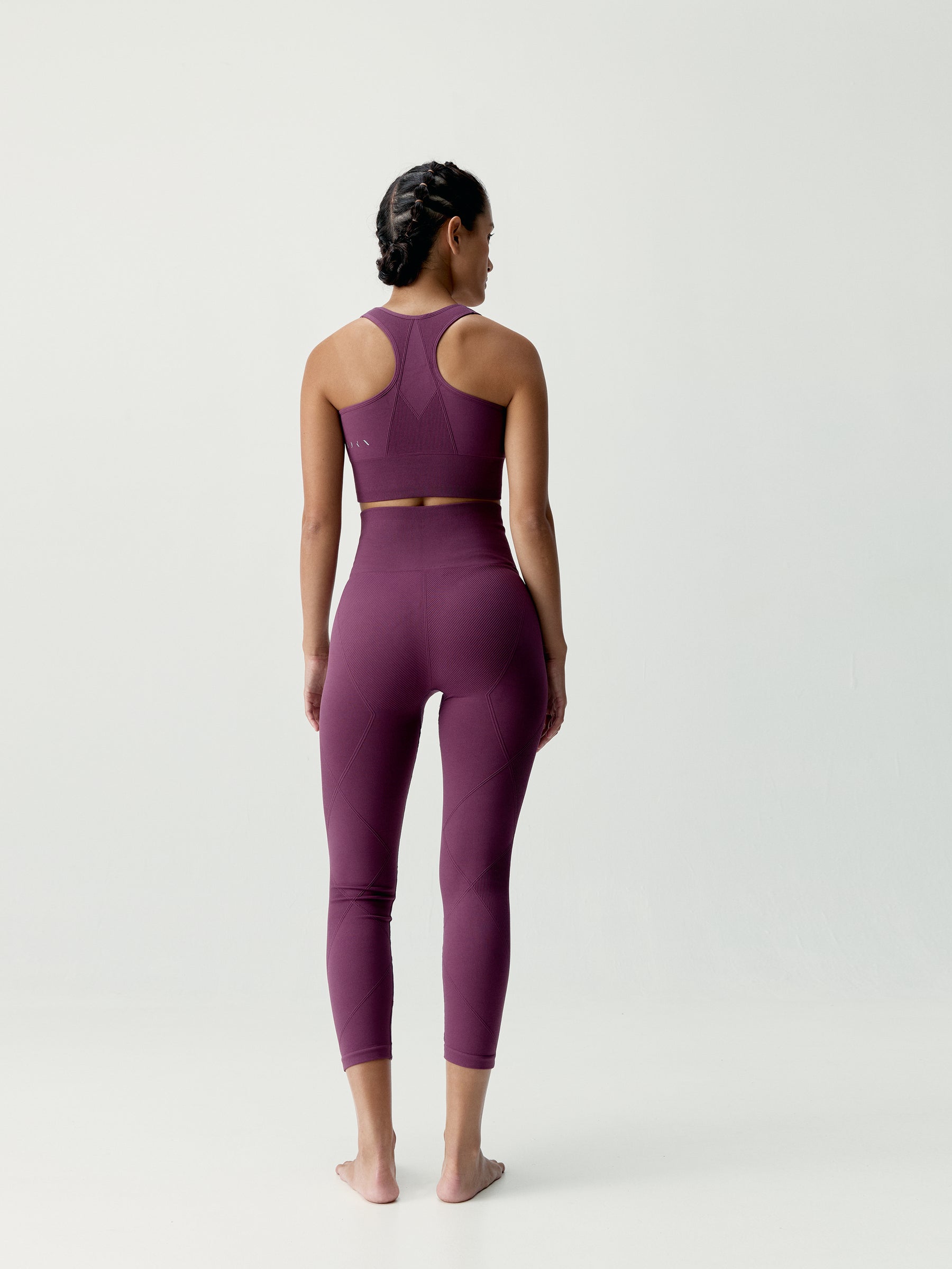 Top Ambra Beet Plant