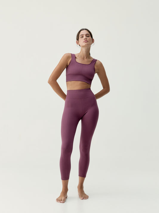 Legging Idara Beet Plant