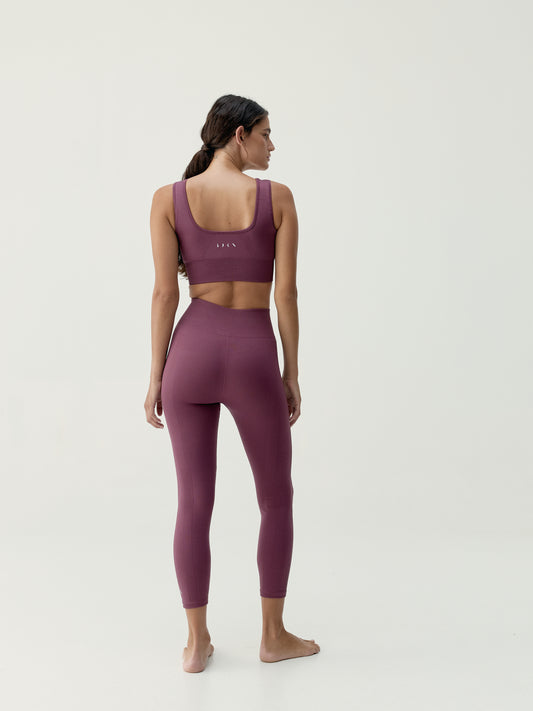 Legging Idara Beet Plant