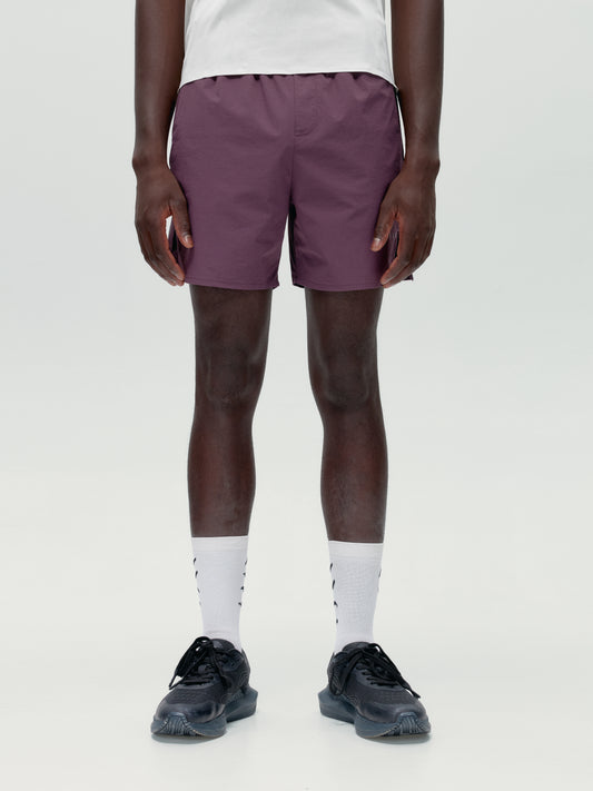 Betterave naine du Malawi