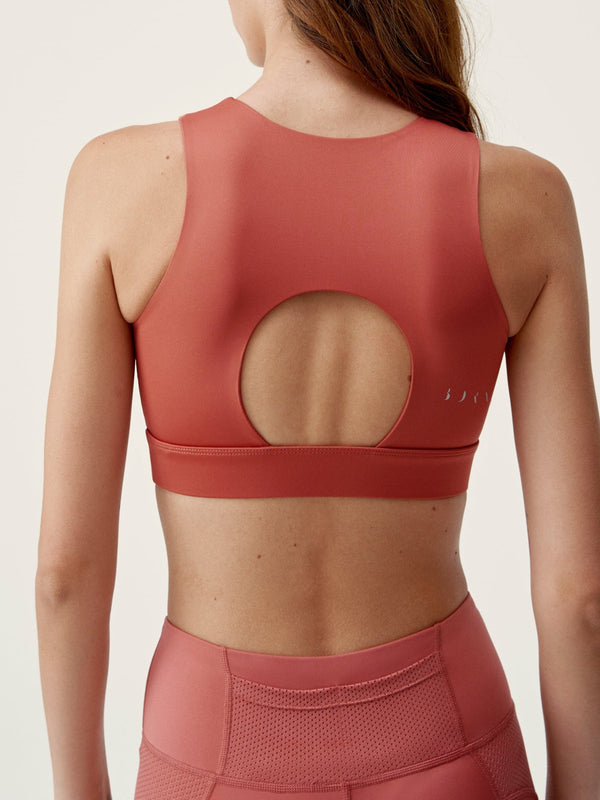 Zhao Top in Terracotta